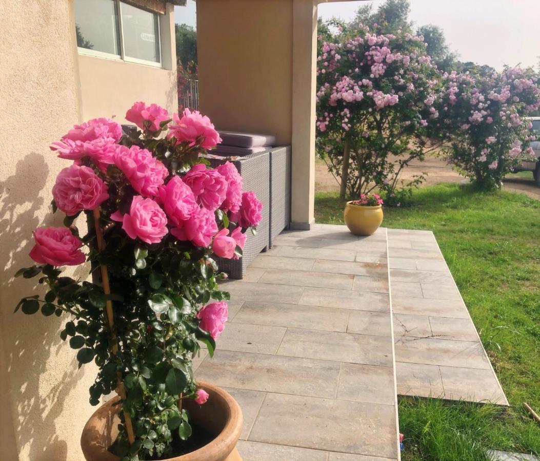 Residence Itylon Cargese Bagian luar foto