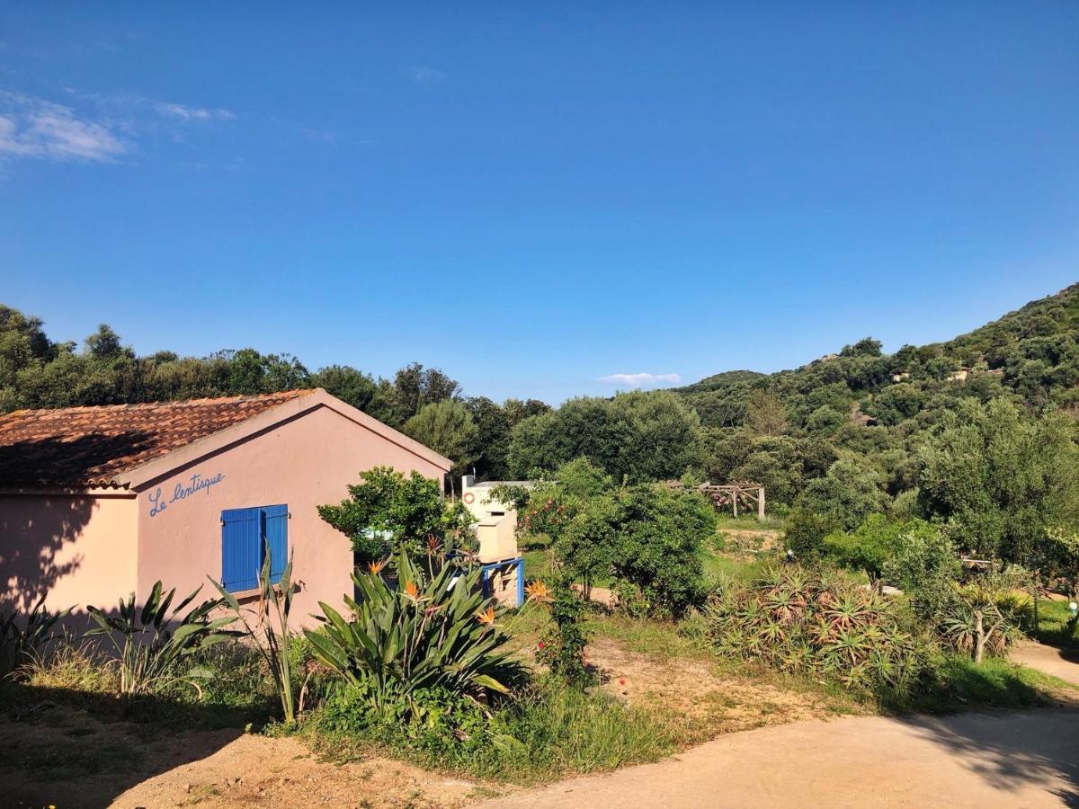 Residence Itylon Cargese Bagian luar foto