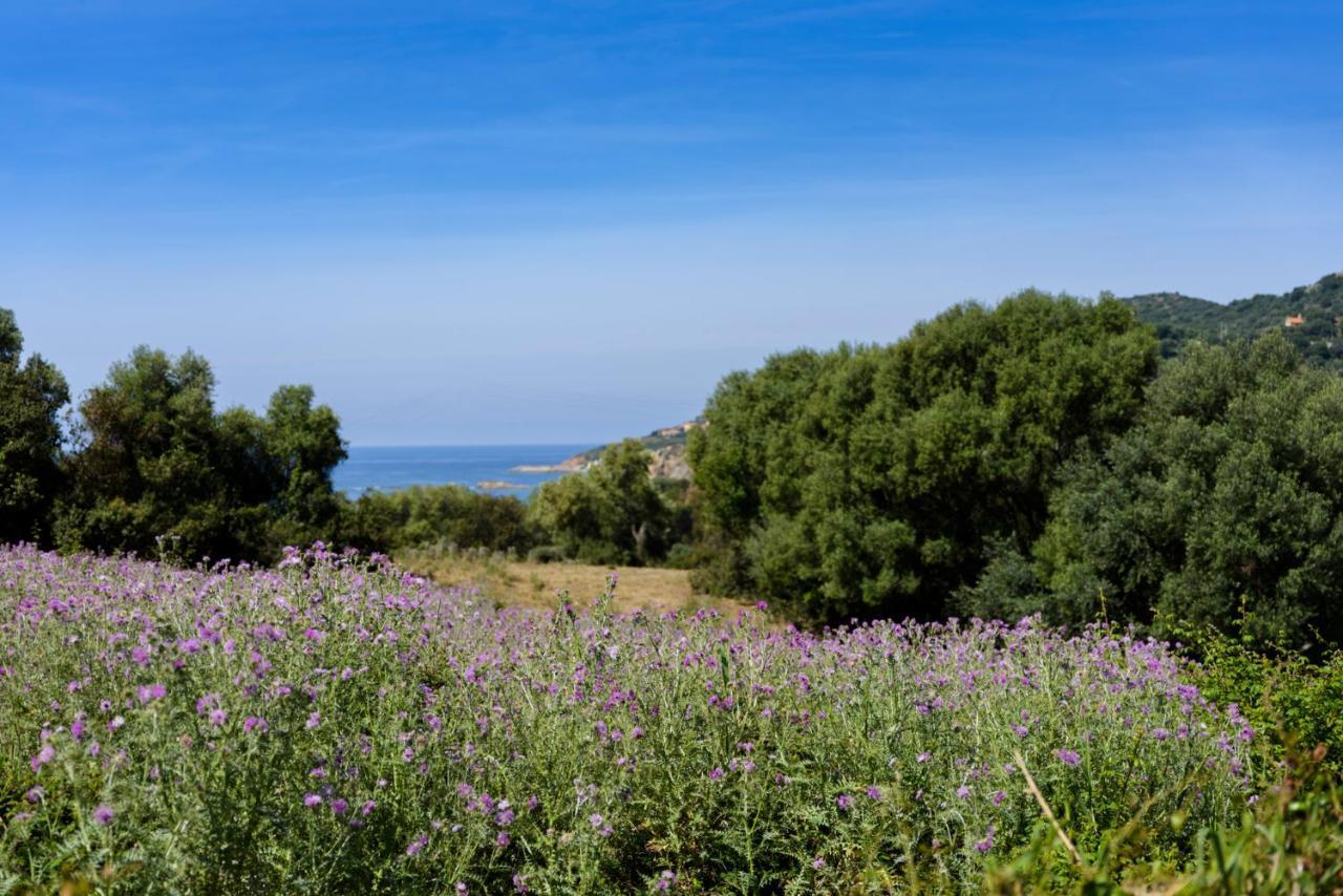 Residence Itylon Cargese Bagian luar foto